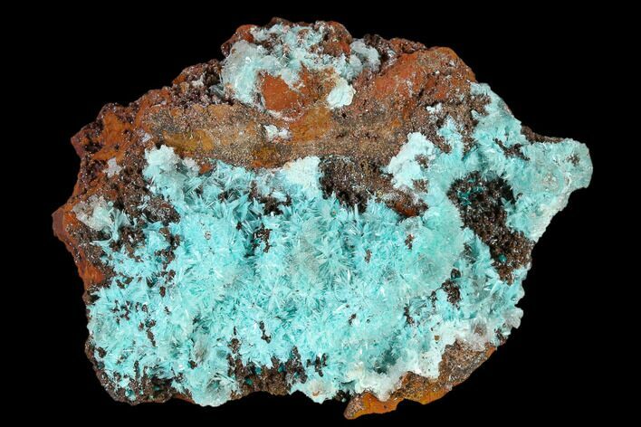 Fibrous Aurichalcite Crystal Cluster - Mexico #119181